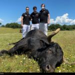 Campanero, de José Luis Bertol