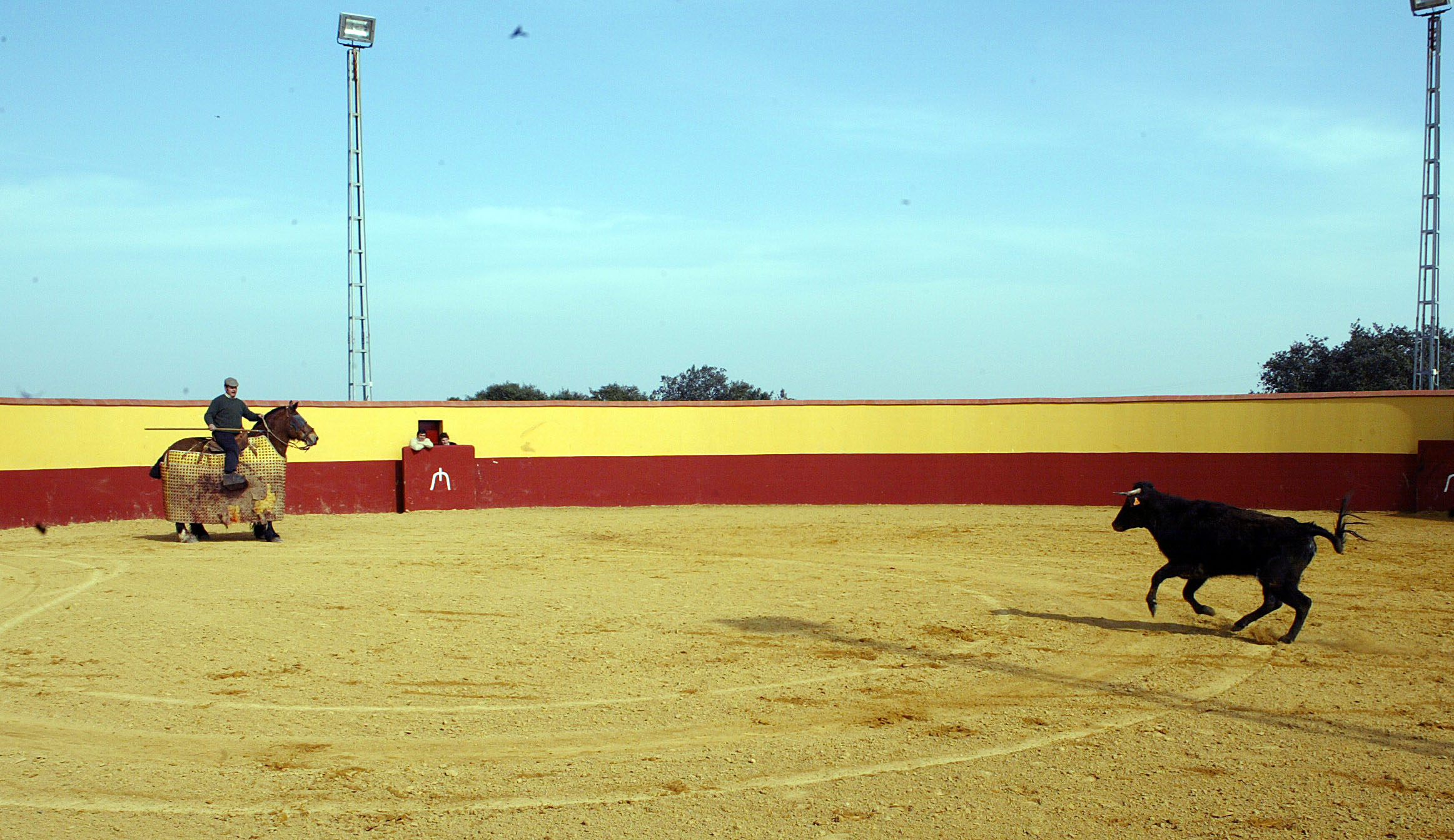 Ganadería El Cahoso