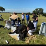 Campanero, de José Luis Bertol