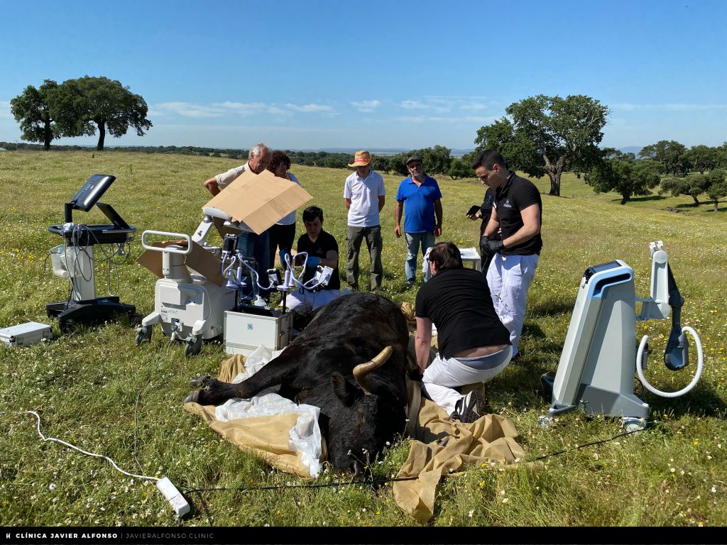 Campanero, de José Luis Bertol