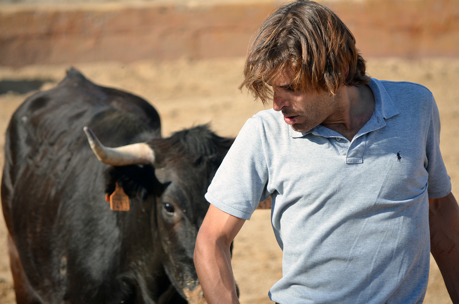 Tentadero en Arriazu