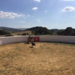 Tentaderos para seleccionar a los alumnos para las novilladas de Canal Sur TV en el XXVI Ciclo de Novilladas sin Picadores en Clase Práctica