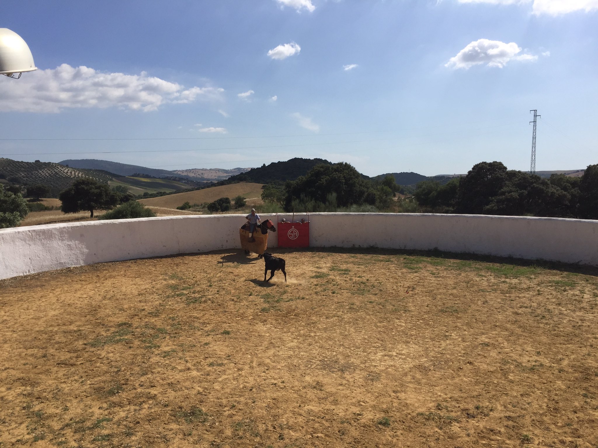 Tentaderos para seleccionar a los alumnos para las novilladas de Canal Sur TV en el XXVI Ciclo de Novilladas sin Picadores en Clase Práctica