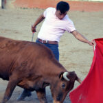 Tentadero en Arriazu