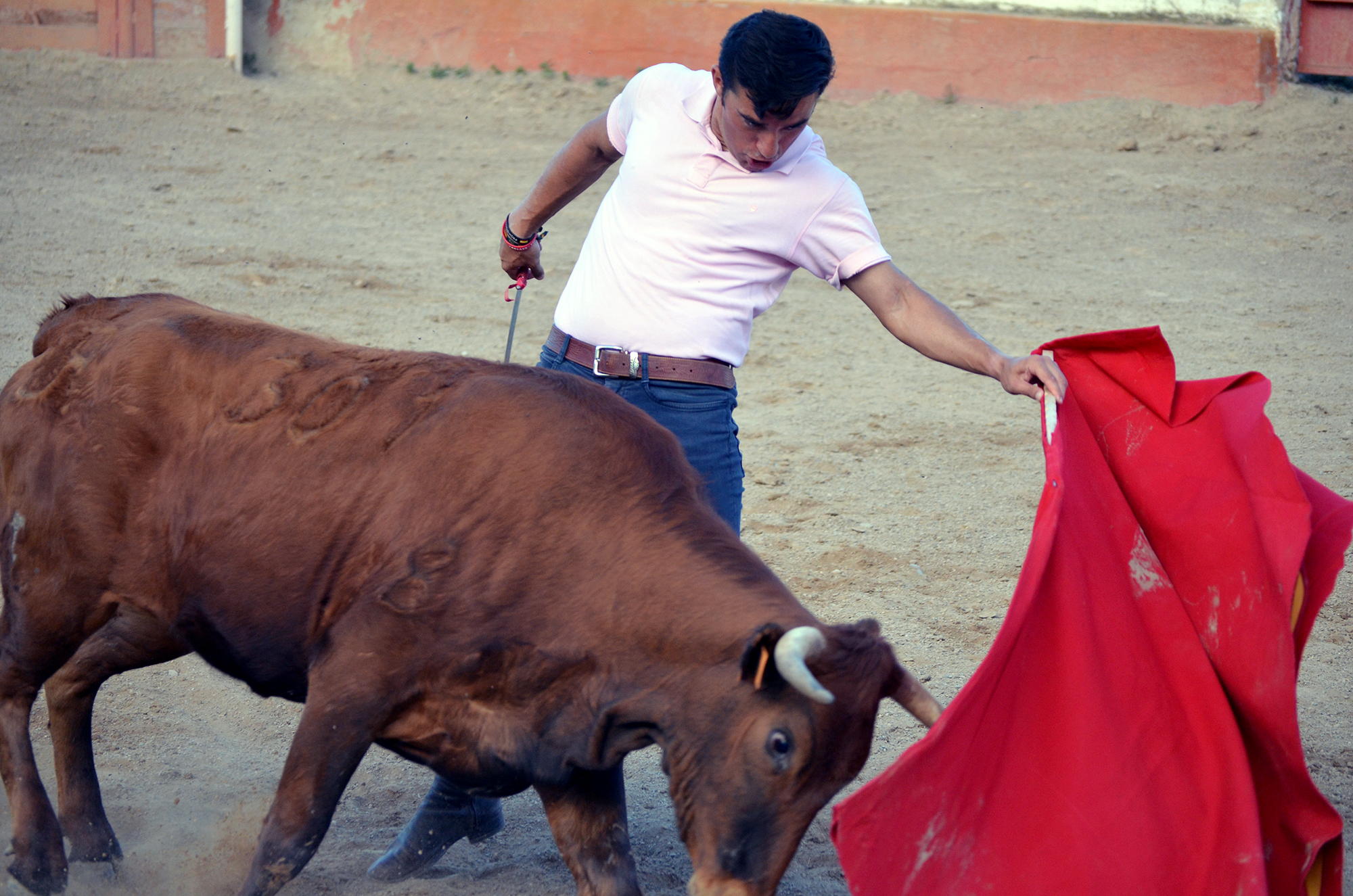 Tentadero en Arriazu