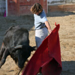 Tentadero en Arriazu
