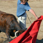 Tentadero en Arriazu