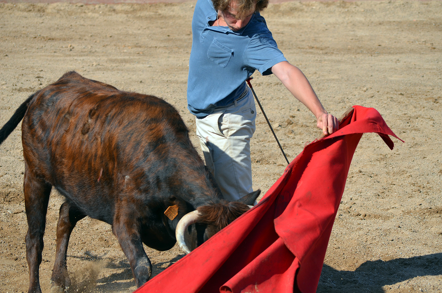 Tentadero en Arriazu