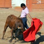 Tentadero en Arriazu