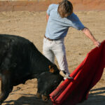 Tentadero en Arriazu