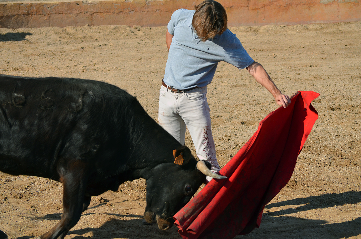 Tentadero en Arriazu
