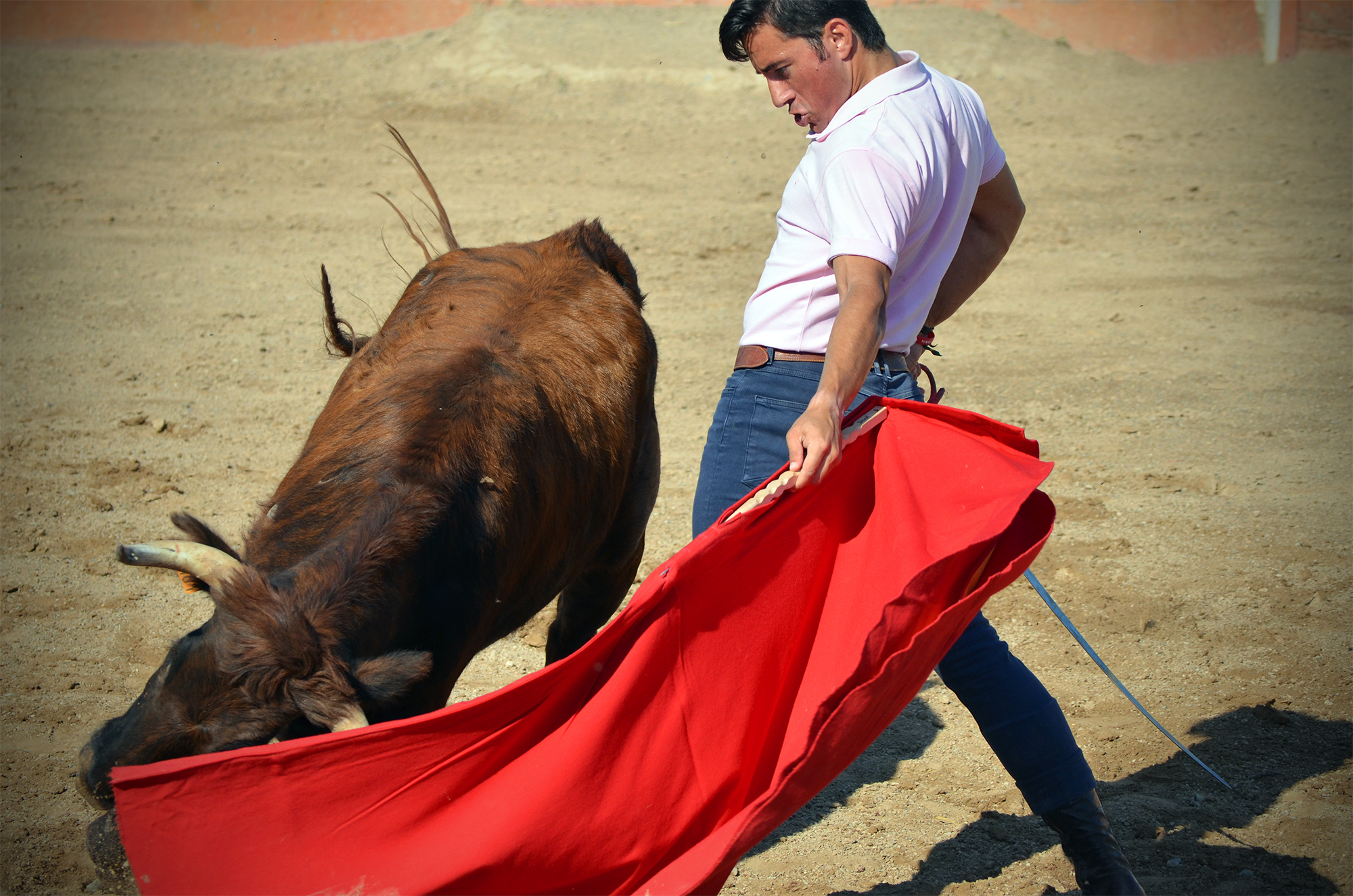 Tentadero en Arriazu
