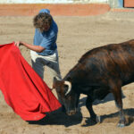 Tentadero en Arriazu