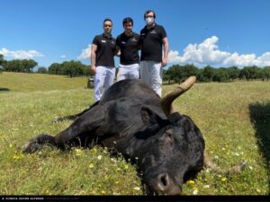 Campanero, de José Luis Bertol
