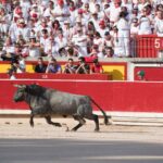 Pamplona - Corrida de toros - Domingo 8 de julio de 2018