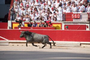 Pamplona - Corrida de toros - Domingo 8 de julio de 2018