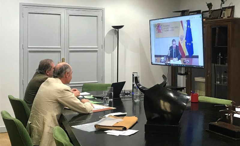 La preocupación de la UCTL: si no hay temporada podría desaparecer un 50 % de la raza brava