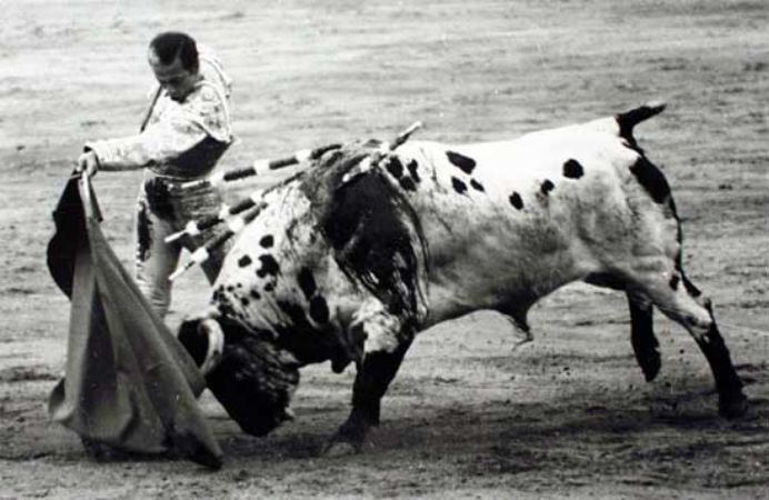 La histórica faena de Antoñete a Atrevido, el toro "blanco" de Osborne