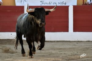 Ceret, domingo 14 de julio de 2019