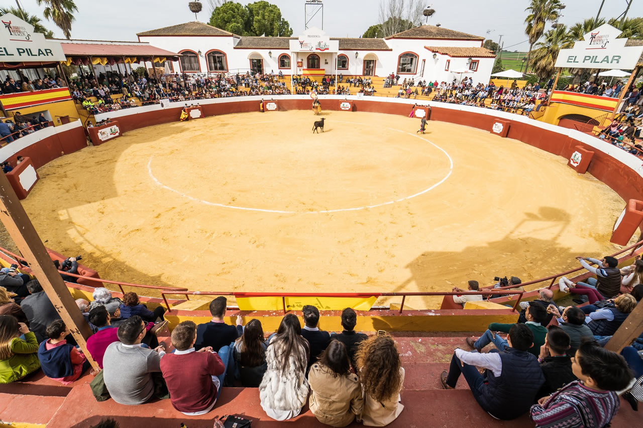 El Bolsín Taurino de La Carlota ya tiene fecha para su final