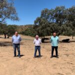 Ganaderías de lidia de Lora del Río donan 11 reses para los más necesitados