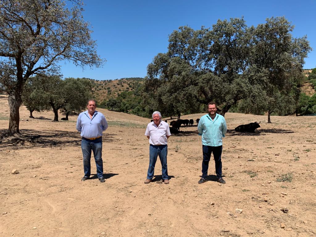 Ganaderías de lidia de Lora del Río donan 11 reses para los más necesitados