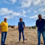 Ganaderías de lidia de Lora del Río donan 11 reses para los más necesitados