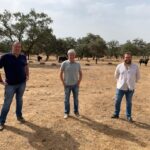 Ganaderías de lidia de Lora del Río donan 11 reses para los más necesitados