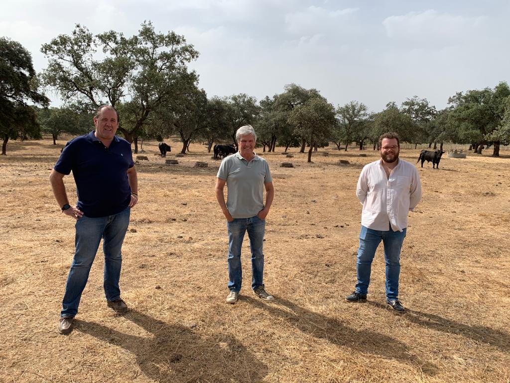 Ganaderías de lidia de Lora del Río donan 11 reses para los más necesitados