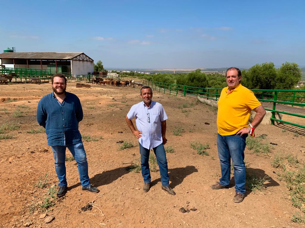 Ganaderías de lidia de Lora del Río donan 11 reses para los más necesitados