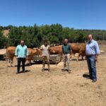 Ganaderías de lidia de Lora del Río donan 11 reses para los más necesitados