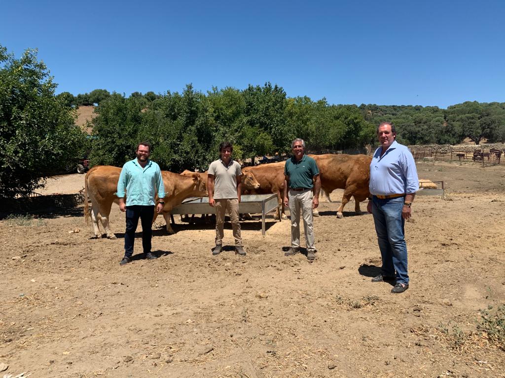 Ganaderías de lidia de Lora del Río donan 11 reses para los más necesitados