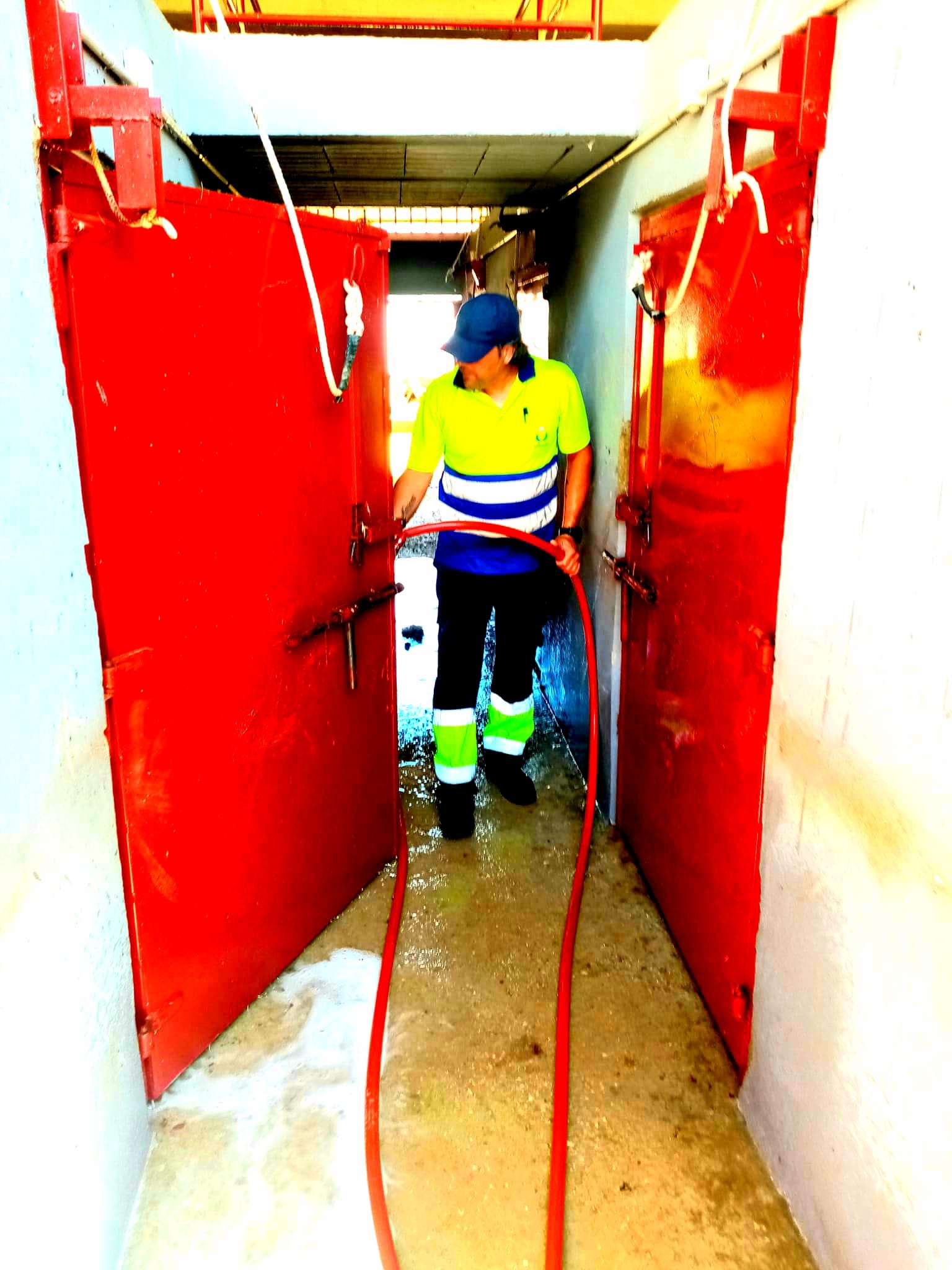 Desinfección de la plaza de toros de Morón de la Frontera
