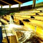 Desinfección de la plaza de toros de Morón de la Frontera
