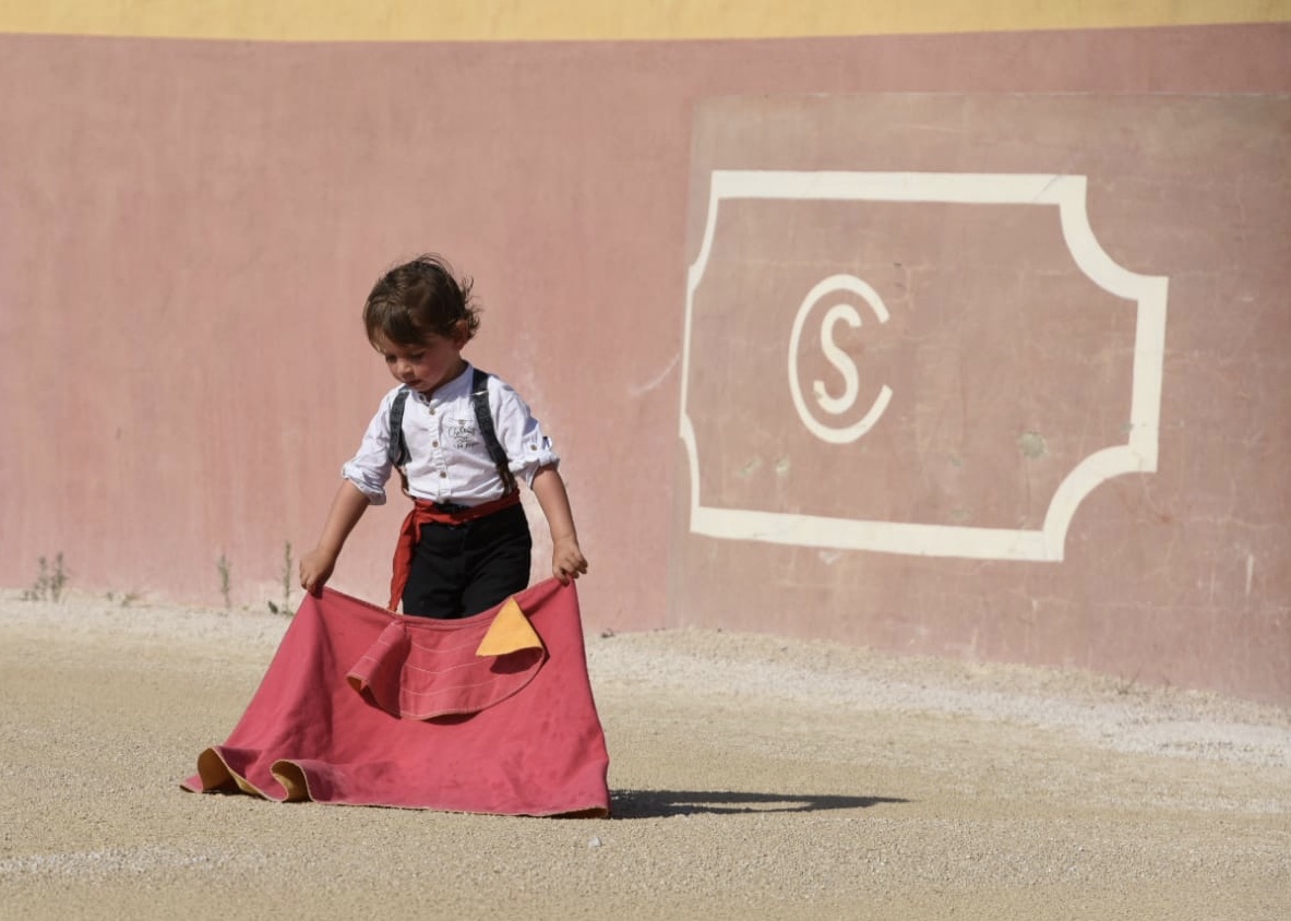 Tentadero de Daniel Luque en Valverde y Concha y Sierra