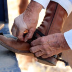 Tentadero de machos en la ganadería de Murube