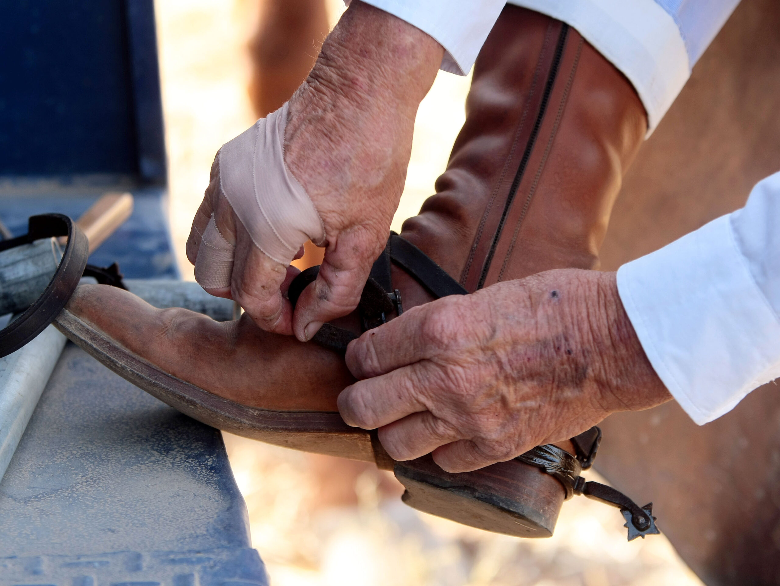 Tentadero de machos en la ganadería de Murube
