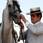 Tentadero de machos en la ganadería de Murube