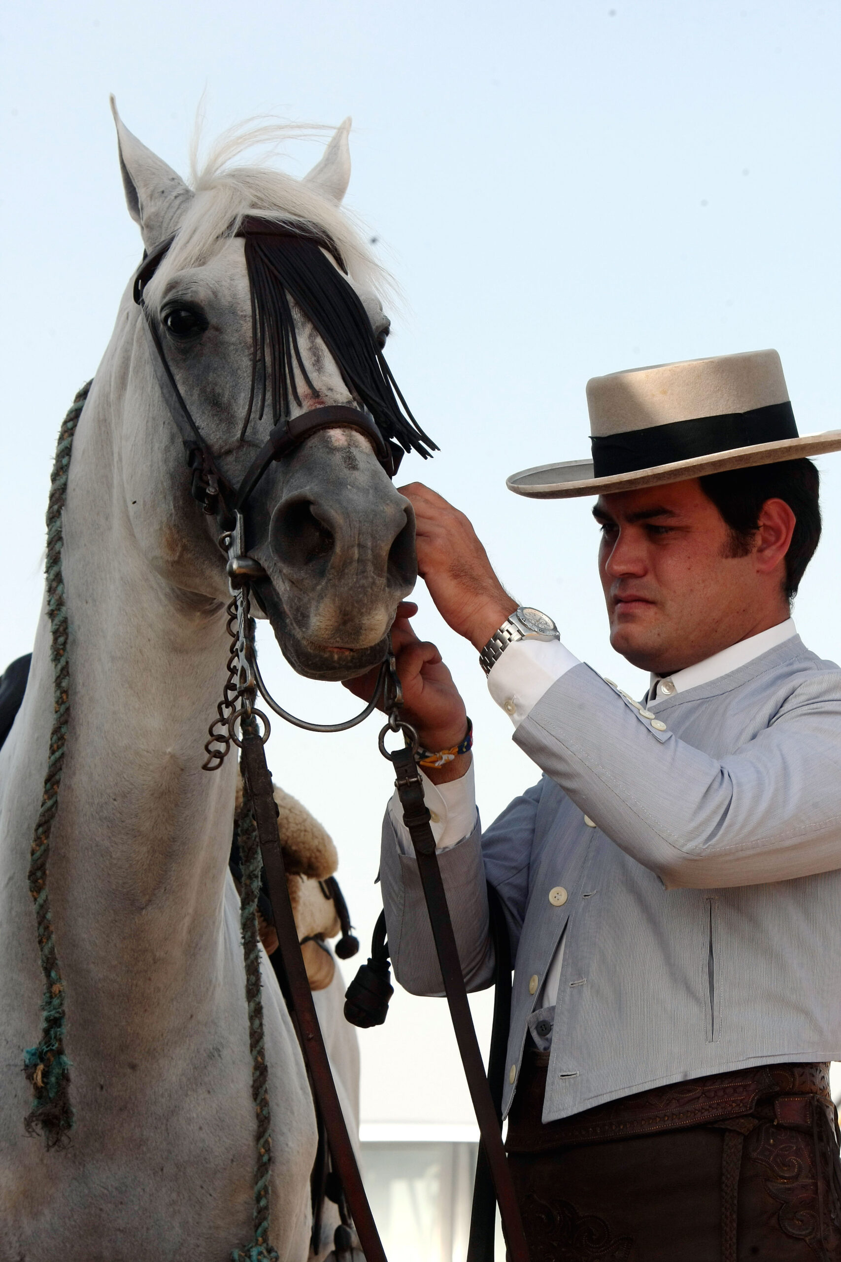 Tentadero de machos en la ganadería de Murube