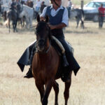 Tentadero de machos en la ganadería de Murube
