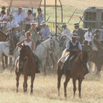 Tentadero de machos en la ganadería de Murube