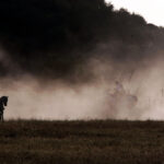Tentadero de machos en la ganadería de Murube