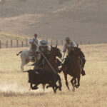 Tentadero de machos en la ganadería de Murube