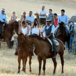 Tentadero de machos en la ganadería de Murube
