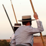 Tentadero de machos en la ganadería de Murube