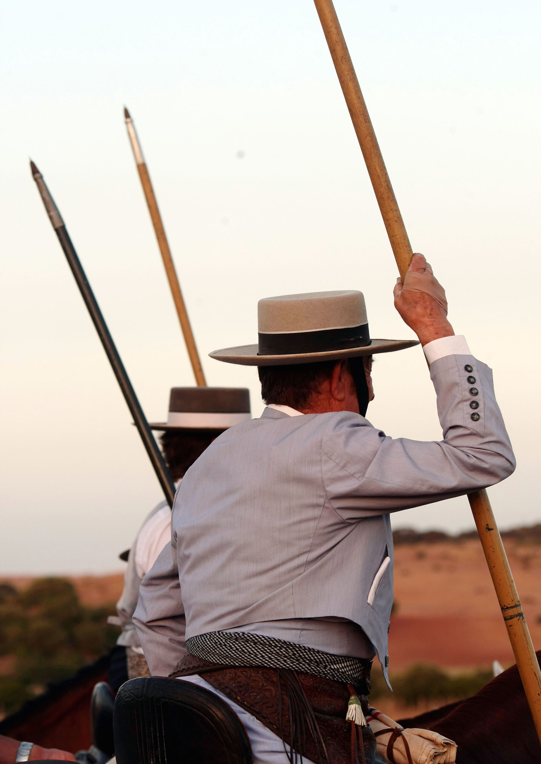 Tentadero de machos en la ganadería de Murube