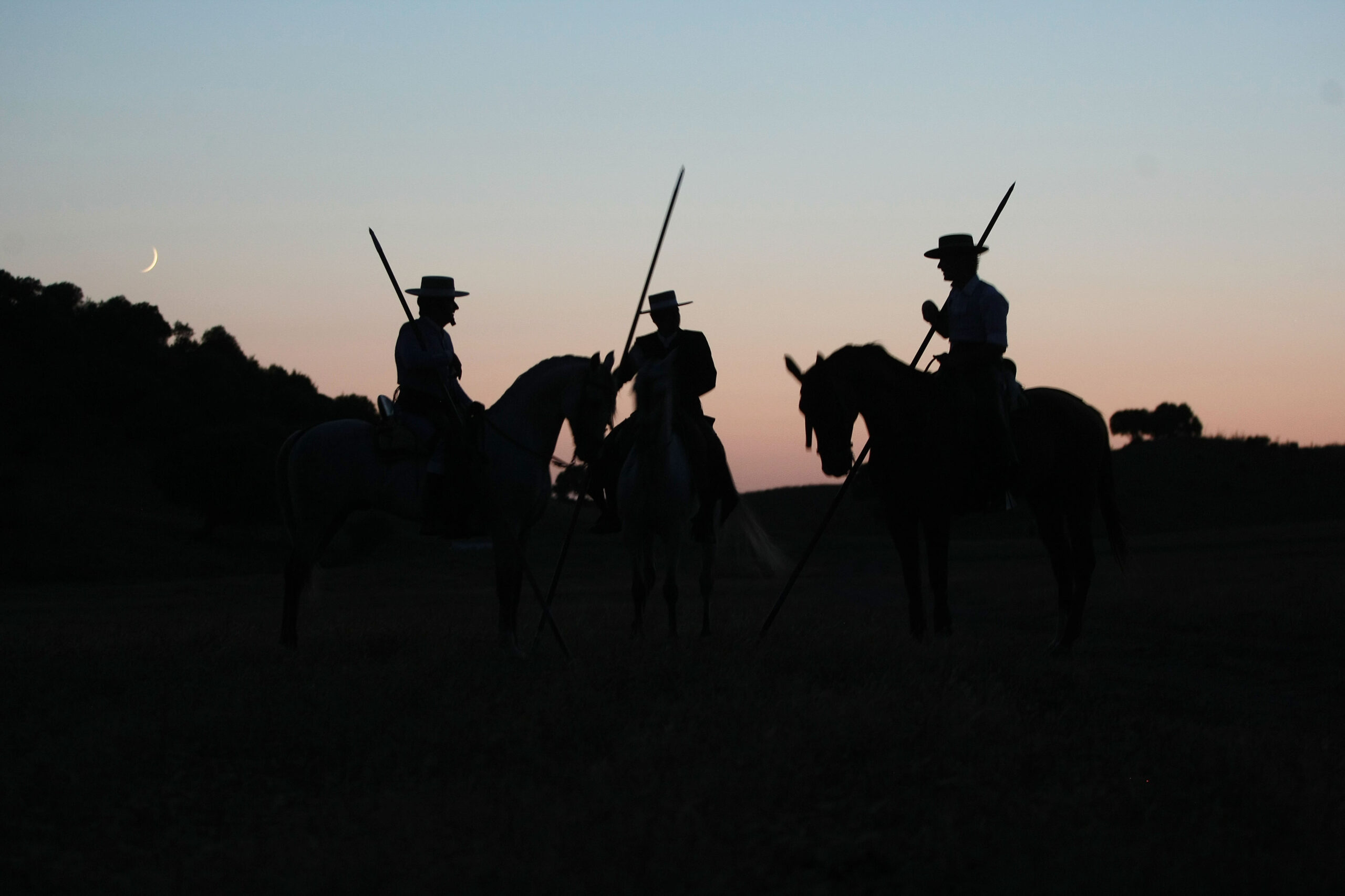 Tentadero de machos en la ganadería de Murube