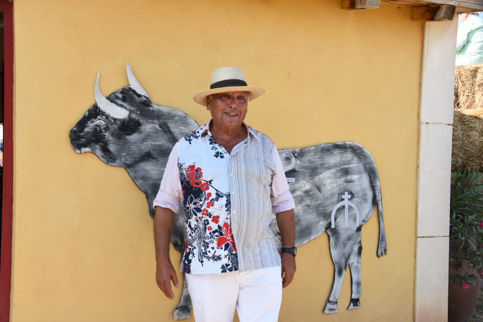 Tentadero de Daniel Luque en Valverde y Concha y Sierra