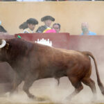 Ávila. Sábado, 18 de julio de 2020.