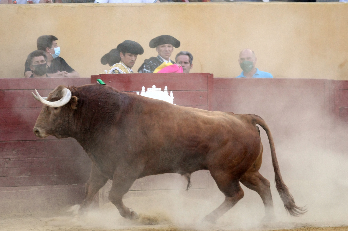 Ávila. Sábado, 18 de julio de 2020.